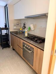 Rivercove Residences (D19), Condominium #596335841